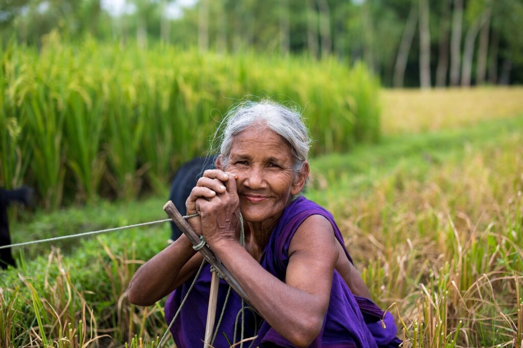 old woman, smile, paddy field-5863931.jpg