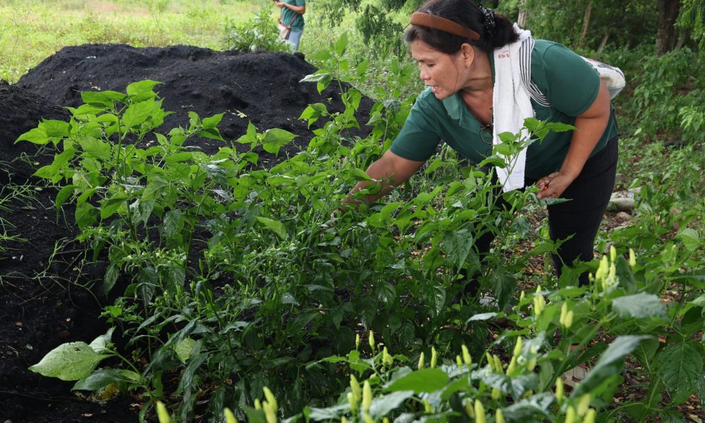 AGRI Party-list Urges Senate to Prioritize Crop Insurance Expansion
