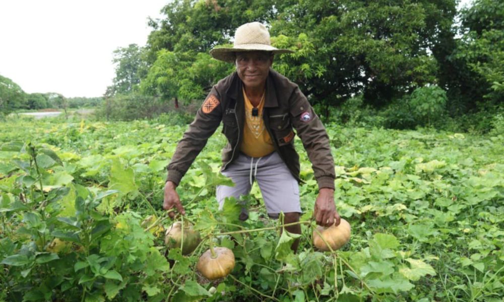 Dagdagan, hindi pabayaan!AGRI SEEKS PROBE ON THE CLOSURE OF SMALL-SCALE RICE, CORN MILLS IN 1K BARANGAYS